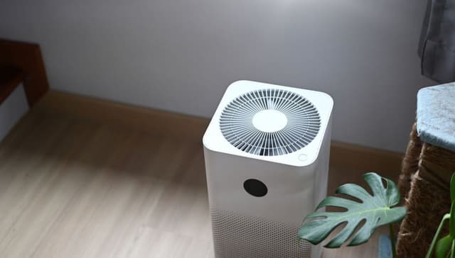 7 Best Purifiers for a Breath of Fresh Air