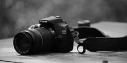 The Best Mirrorless Cameras for Every Need