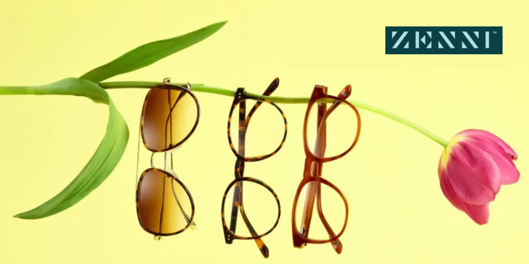 Zenni Promo Codes September 2025 – Upgrade Your Style, Not Your Spend