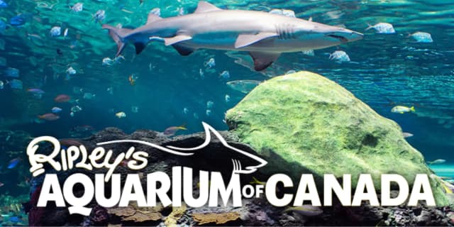 Ripley’s Aquarium Promo Codes for May 2026