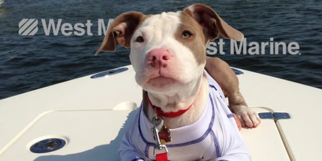 WestMarine.com Promo Codes for May 2026