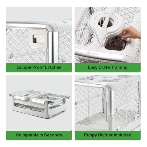 DIGGS Revol Collapsible Dog Crate with Wheels - Premium Portable Dog Crate - Safe, Stylish, and Convenient Indoor Kennel (Ash, Small)