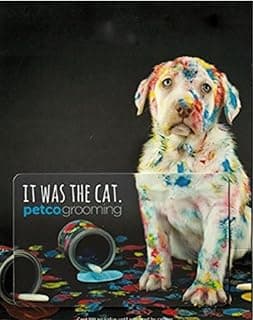 Petco $20 Gift Card - Online/In-Store, Grooming Eligible