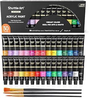 Shuttle Art Acrylic Paint Set, 30 x12ml Tubes Artist Quality Non Toxic Rich Pigments Colors Great for Kids Adults Professional Painting on Rocks Canvas Wood Clay Fabric Ceramic Crafts