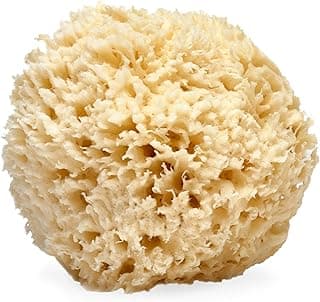 LATHER Natural Sea Wool Sponge 5-6" - Soft Hypoallergenic Exfoliator
