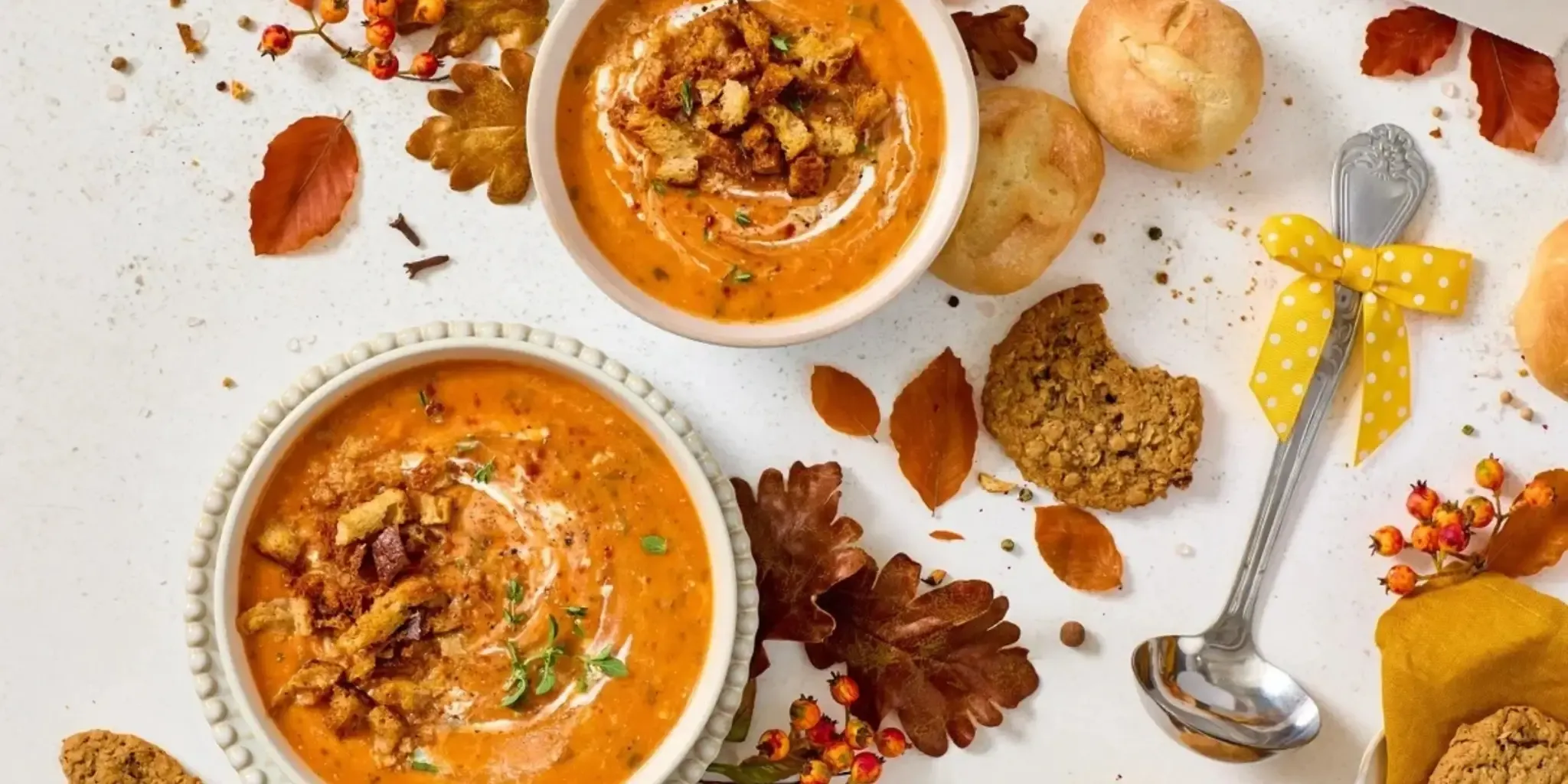 Fall Collection of Comforts Fall Collection of Comforts